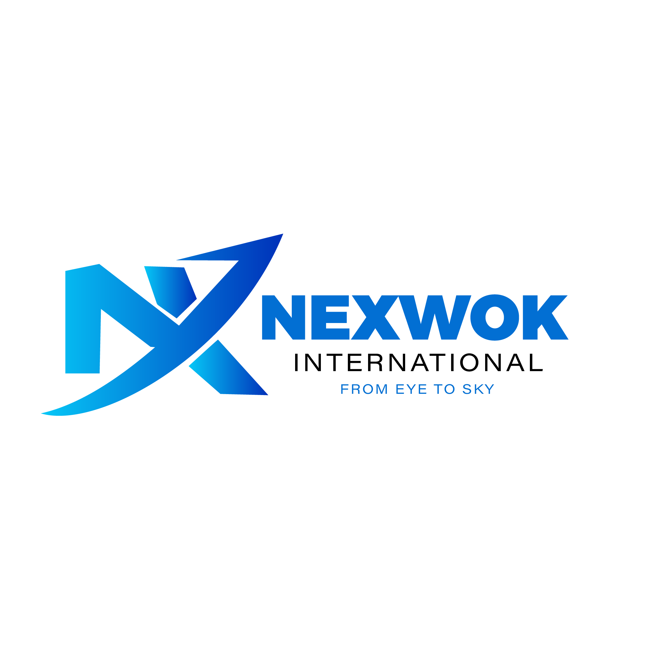 Nexwok International Logo